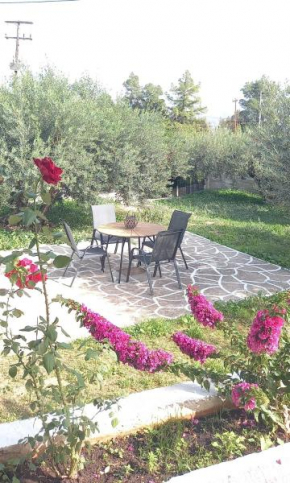 The Byzantine Wall House